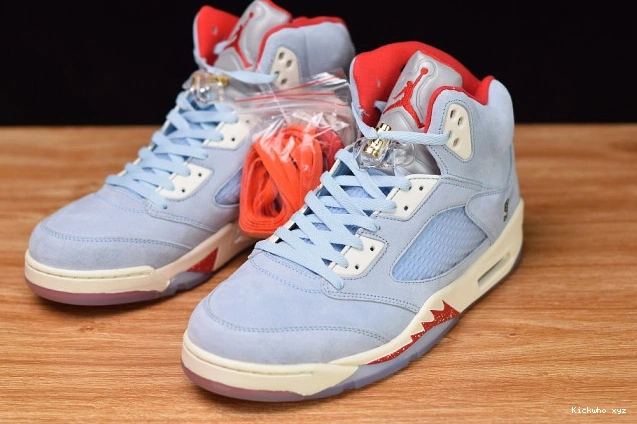 CI1899-400 Room Blue Trophy Air 5 x JSP Ice Jordan 0707